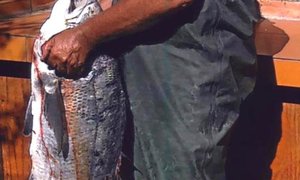 Mosselkraker by Blousloep